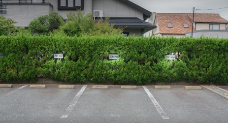 お車でお越しの方